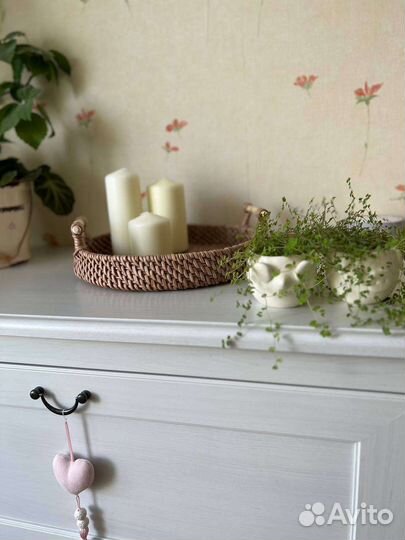 Поднос из эколозы