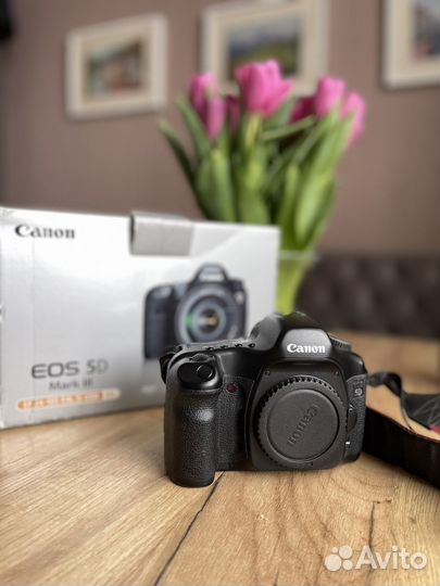 Canon eos 5d body (mark 1)