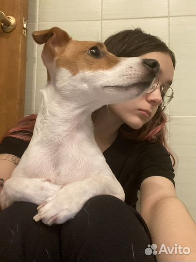 Кинолог/ Зоопсихолог