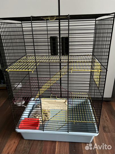 Клетка для крыс с кормом
