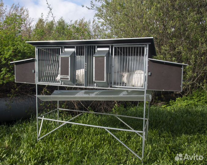 Крольчатник с маточником