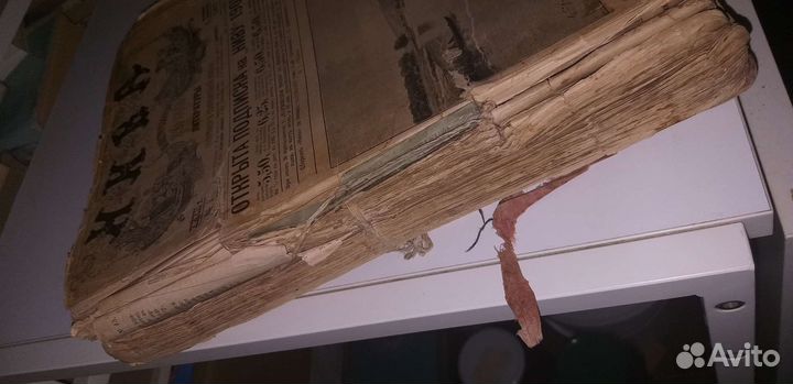 Газета нива 1901г