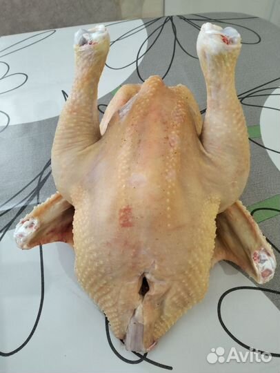 Мясо бройлера