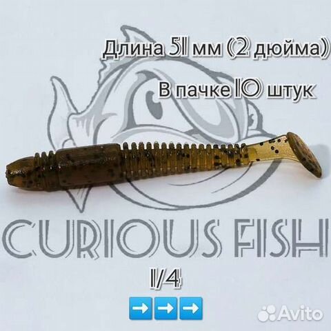 Curious Fish Tioga 2 дюйма