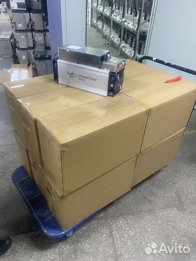 Whatsminer m50 112th Наличие Москва