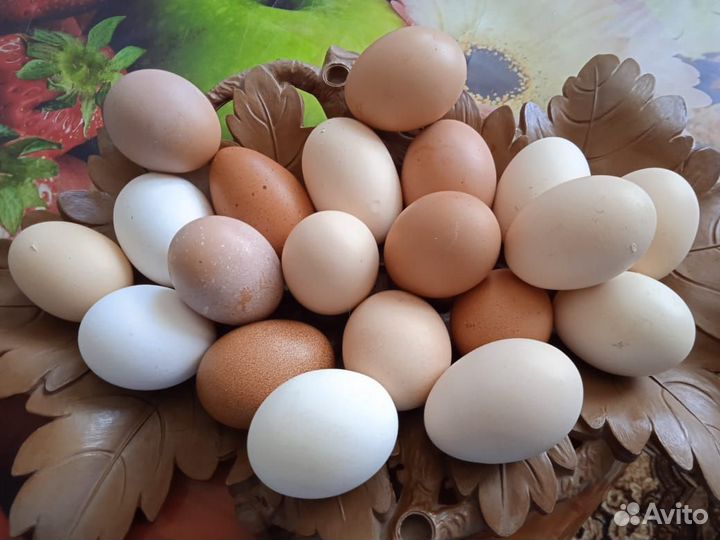 Домашние куриные яйца