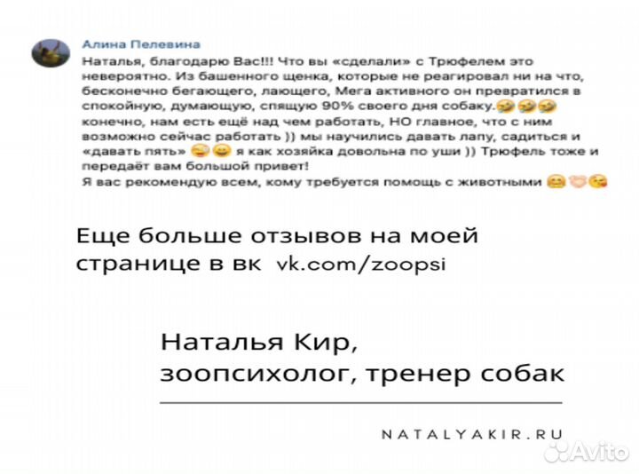 Зоопсихолог, кинолог, дресс. Гуманно, без насилия