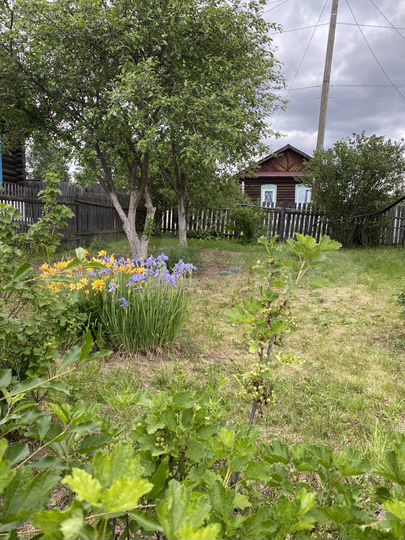 Дом 28,7 м² на участке 10 сот.