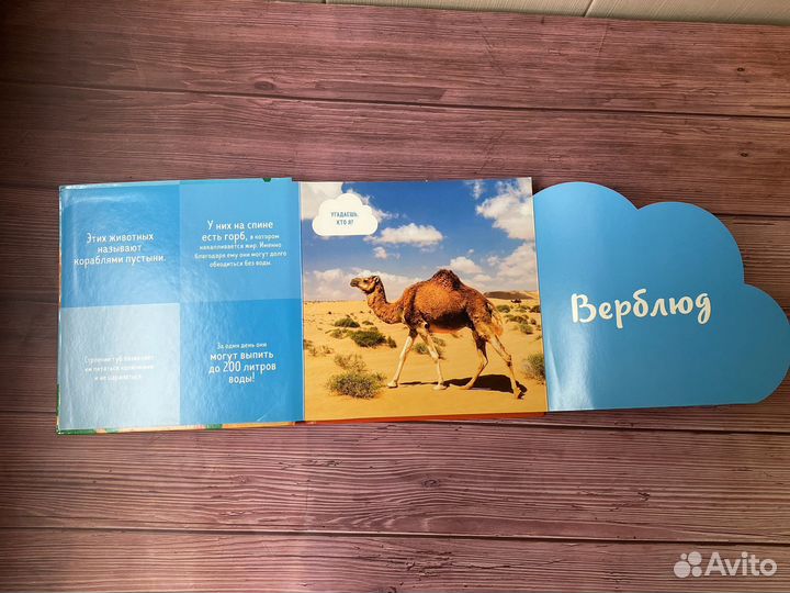 Главная книга малыша Клевер набор