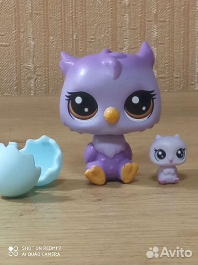 Littlest Pet Shop