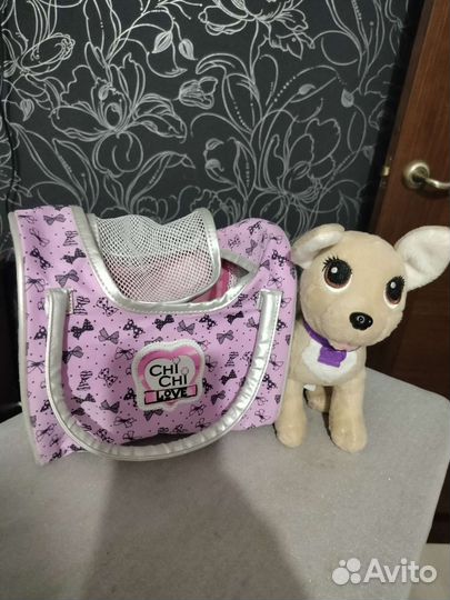 Собачка чичилав