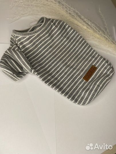 Майка для собаки