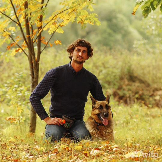 Гостиница для собак «Симуран»/ Передержка собак