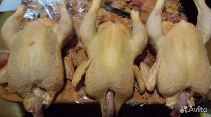 Куры бройлеры тушки мясо