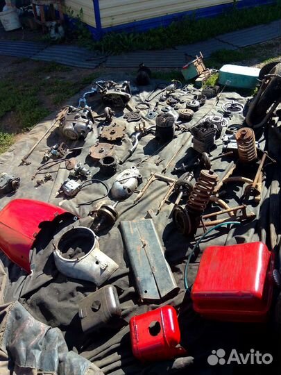 На мотороллер муравей