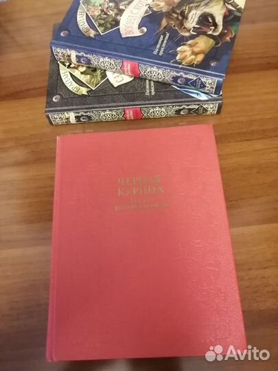 Брайан Джейкс. Саламандастрон