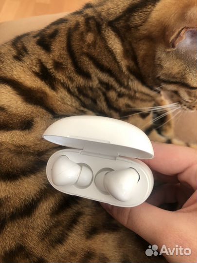 Honor choice earbuds x3 lite