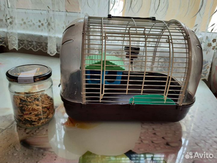Клетка для хомяка бу