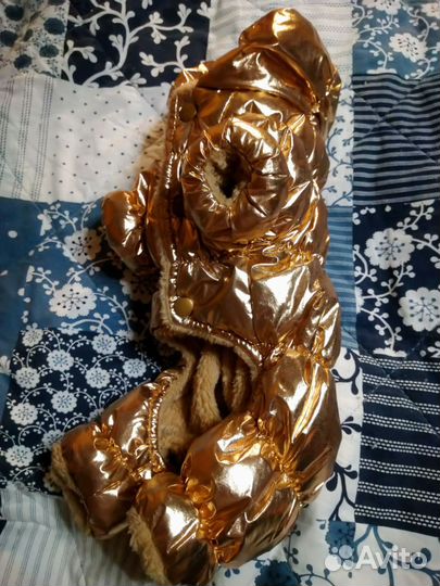 Одежда для йорка