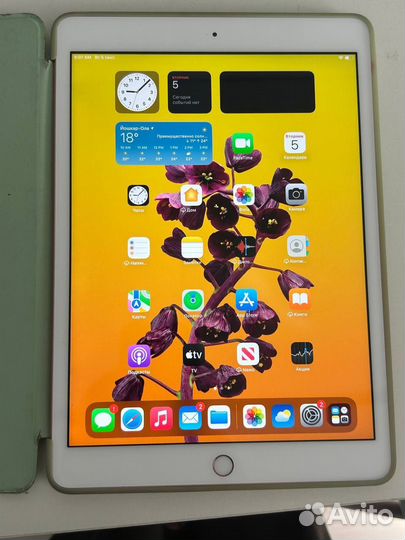 iPad 7