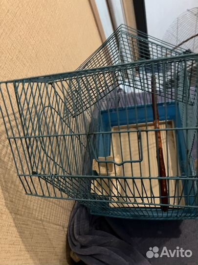 Клетка для попугая
