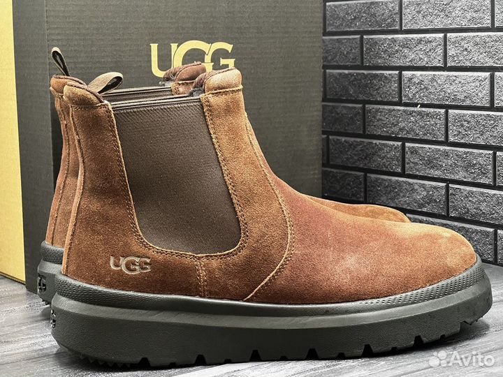 Ботинки Мужские Угги UGG Burleigh Chelsea