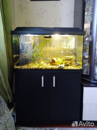 Аквариум с тумбой 100 литров