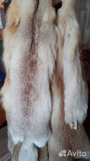 Шкура лисы