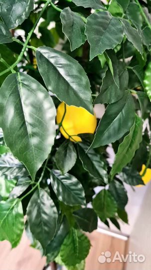 Искусственное дерево, лимон