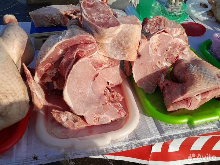Мясо индюка