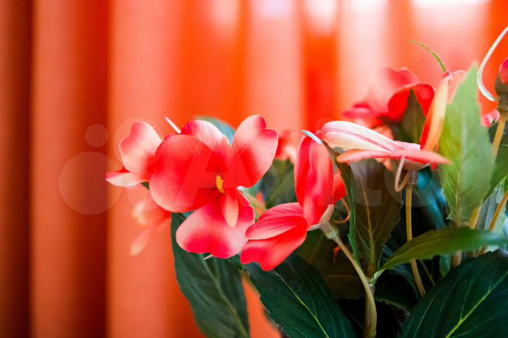 1-к. квартира, 41 м², 2/22 эт.