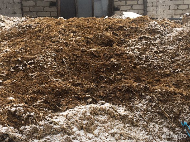 Навоз конский