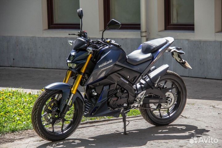 Мотоцикл motoland MT 250 (172fmm-5/pr250)