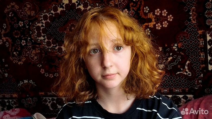 Выгул собак