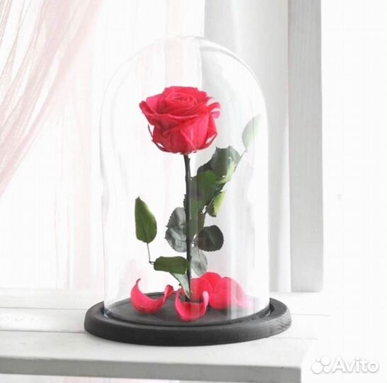 Роза в колбе