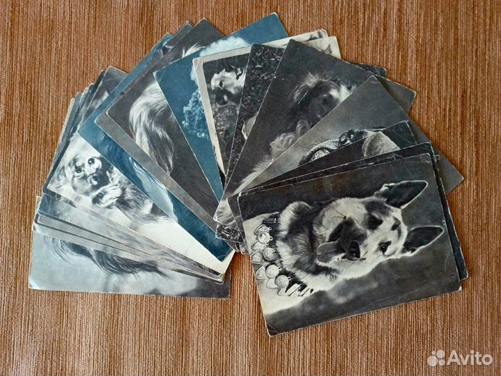 Открытки СССР