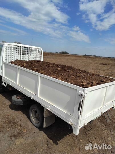 Перегной Навоз Учхоз Затулинка