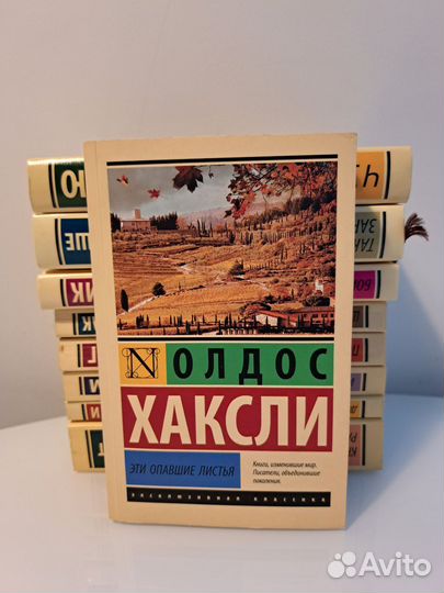 Эксклюзивная классика