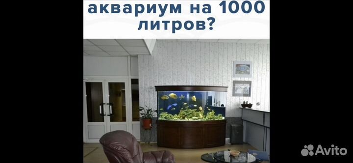 Аквариум сферой на 1000 литров