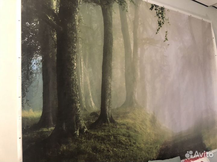 Картина IKEA бьеркста