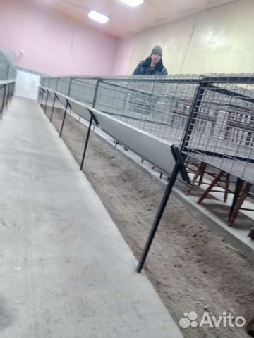 Клетки для кроликов