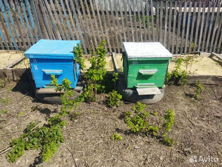 Улей для пчел