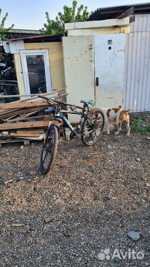 Велосипеды бу взрослый