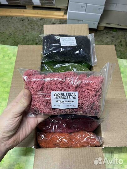 Стабилизированный Мох, Оранжевый