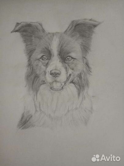 Рисунки на заказ