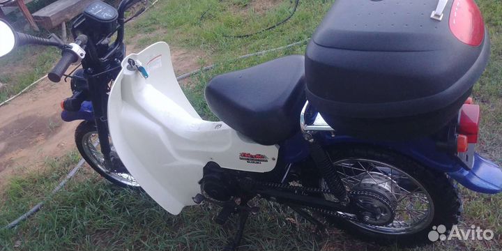 Suzuki birdie