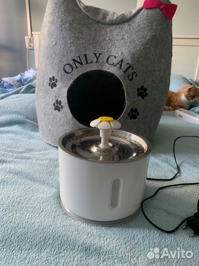 Фонтанчик для кошек + домик