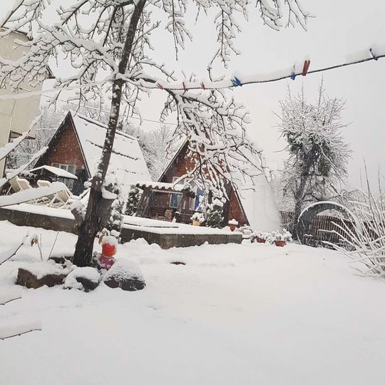 Дом 42 м² на участке 16 сот.