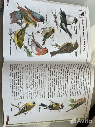 Атлас-определитель 