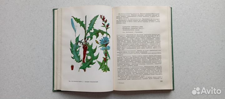 Фитотерапия.лечение лекарственными травами.1972